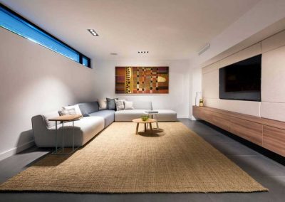 Basement Remodel